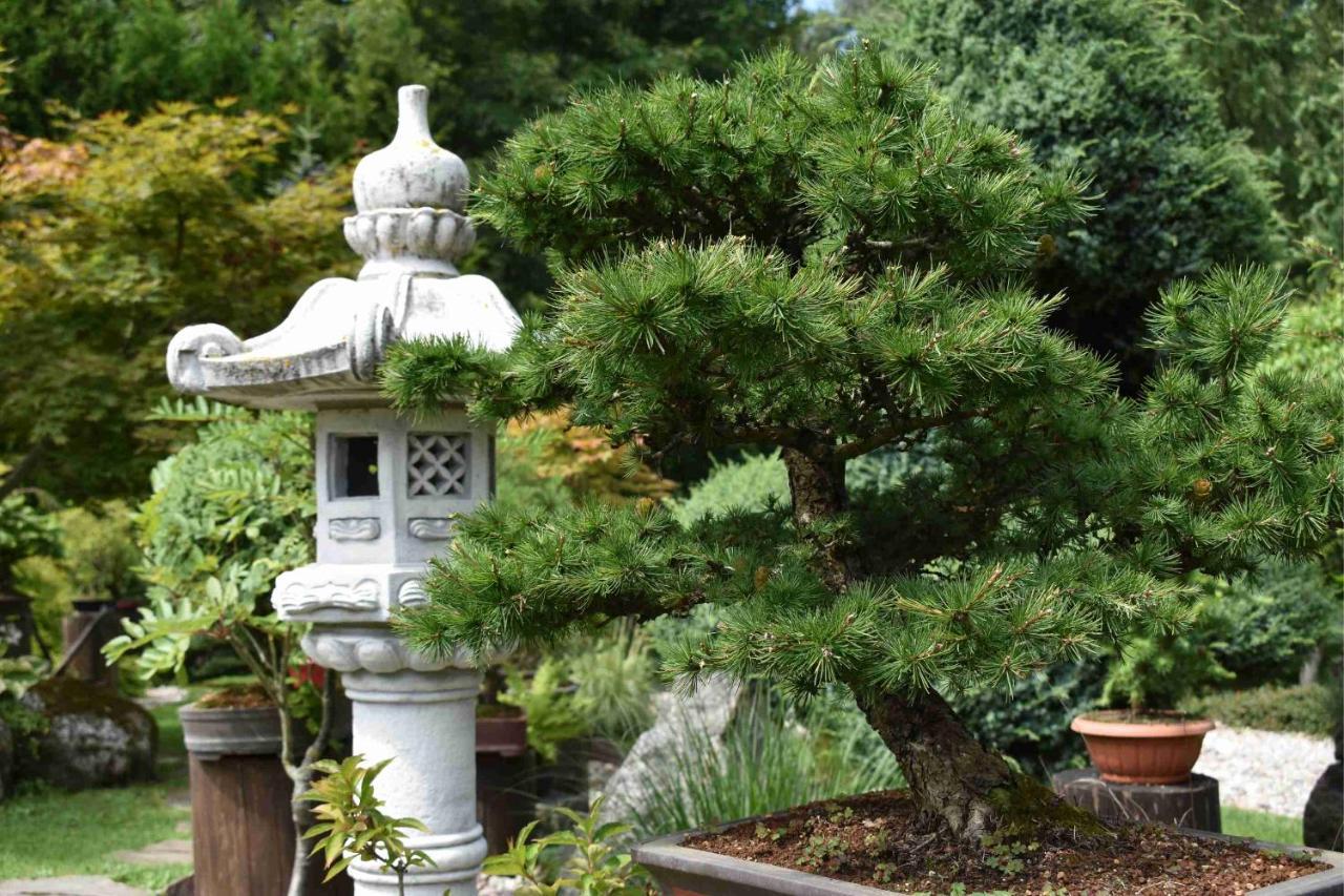 Ogrod Shinrin Yoku Holiday home